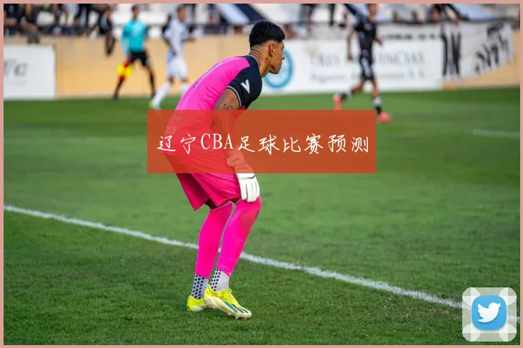 辽宁CBA足球比赛预测